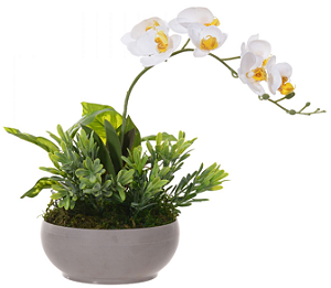 Arranjo Artificial 1 Orquídea Branca com Folhagem e Vaso de Plástico Cinza 50cm
